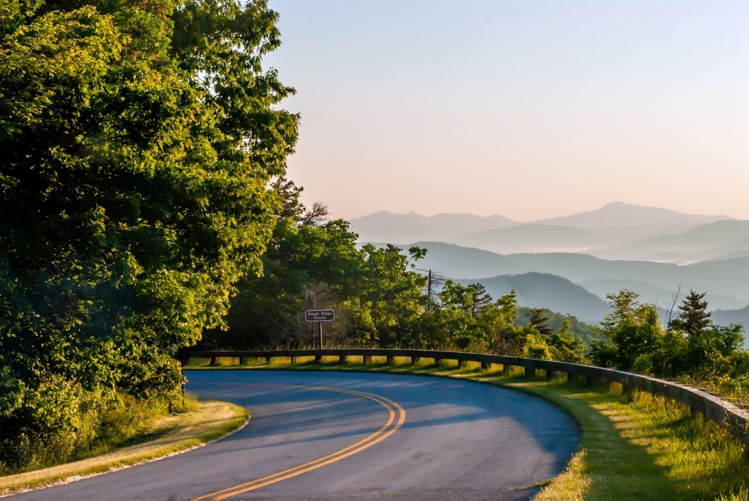 A Paced Road and Trees